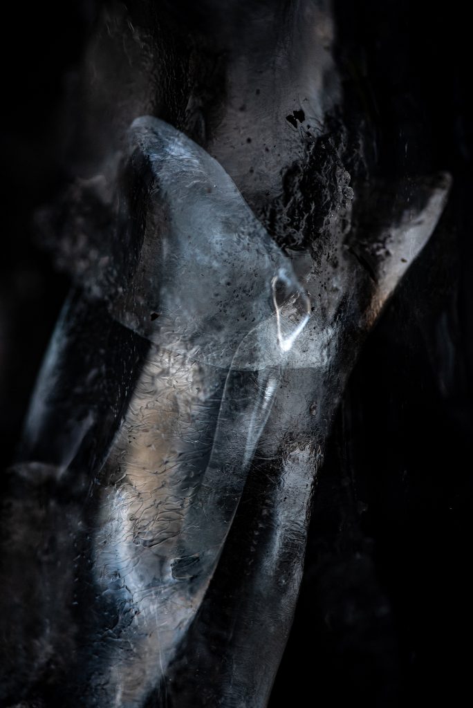 DAO – Licht und Schatten - memento mori 02- Anne Killat 3751